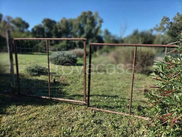 terreno agricolo in vendita ad Orbetello