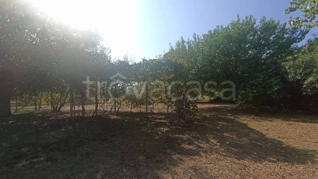 terreno agricolo in vendita ad Orbetello in zona Giannella