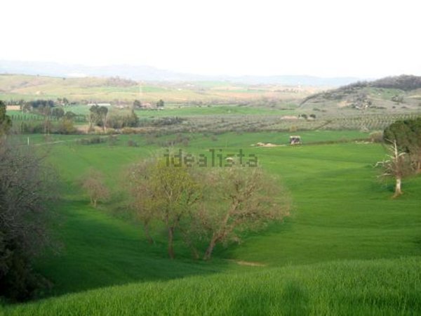 casa indipendente in vendita ad Orbetello in zona Albinia