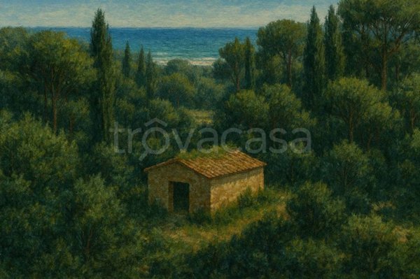 casa indipendente in vendita ad Orbetello in zona Ansedonia