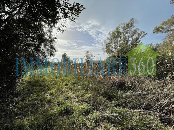 terreno agricolo in vendita ad Orbetello
