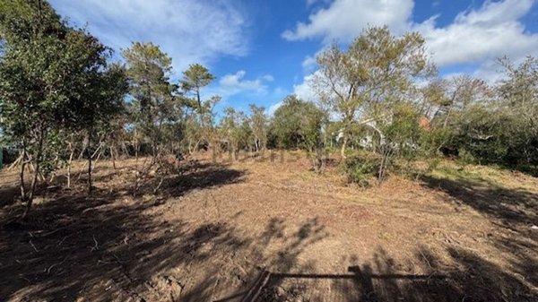 terreno agricolo in vendita ad Orbetello in zona Giannella