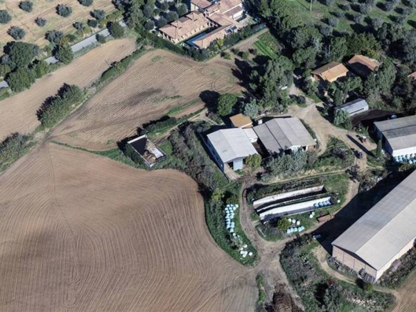 azienda agricola in vendita ad Orbetello