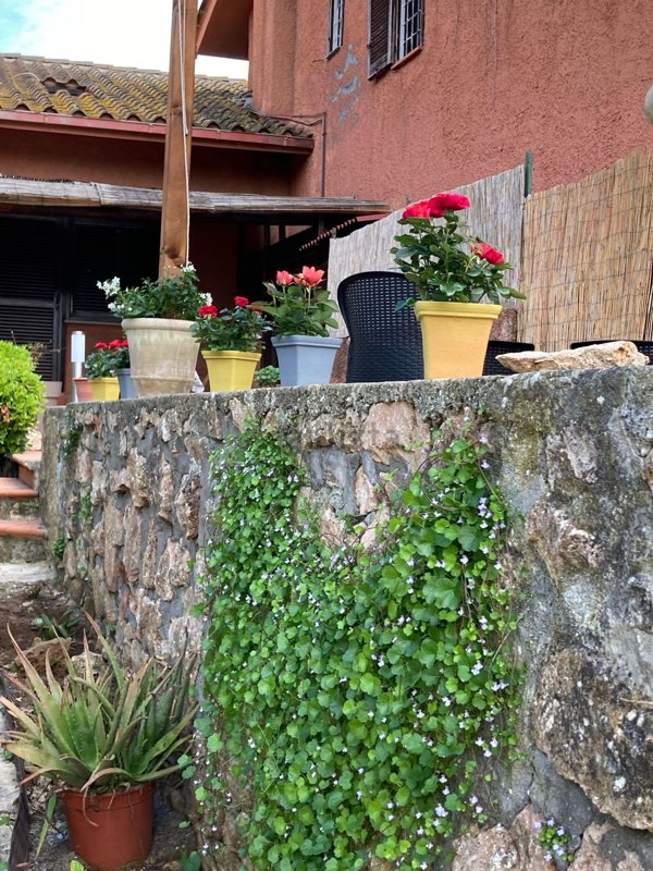 casa indipendente in vendita ad Orbetello in zona Ansedonia