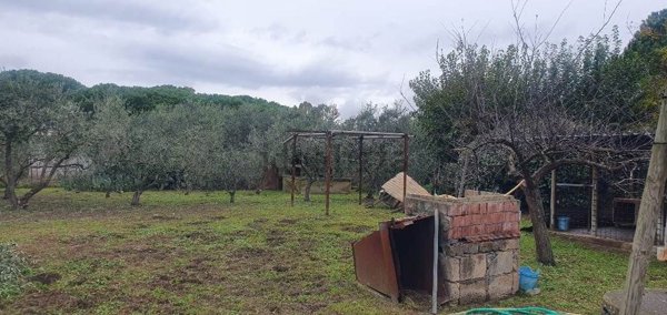 terreno edificabile in vendita ad Orbetello in zona Albinia