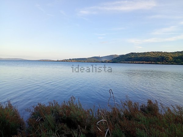 terreno agricolo in vendita ad Orbetello