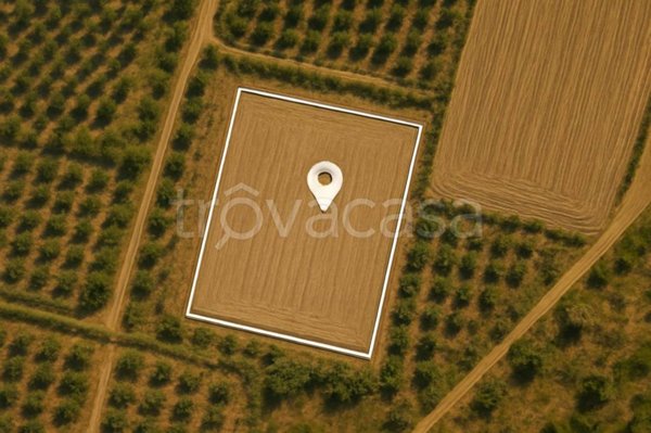 terreno agricolo in vendita ad Orbetello in zona Albinia