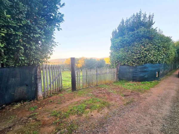 terreno agricolo in vendita ad Orbetello in zona Ansedonia