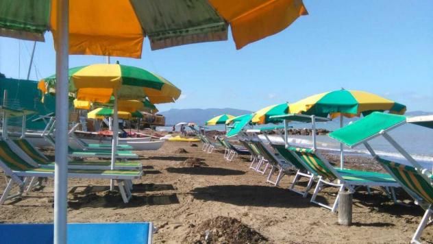 negozio in vendita ad Orbetello