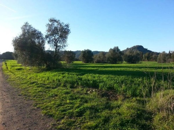 terreno agricolo in vendita ad Orbetello in zona Albinia