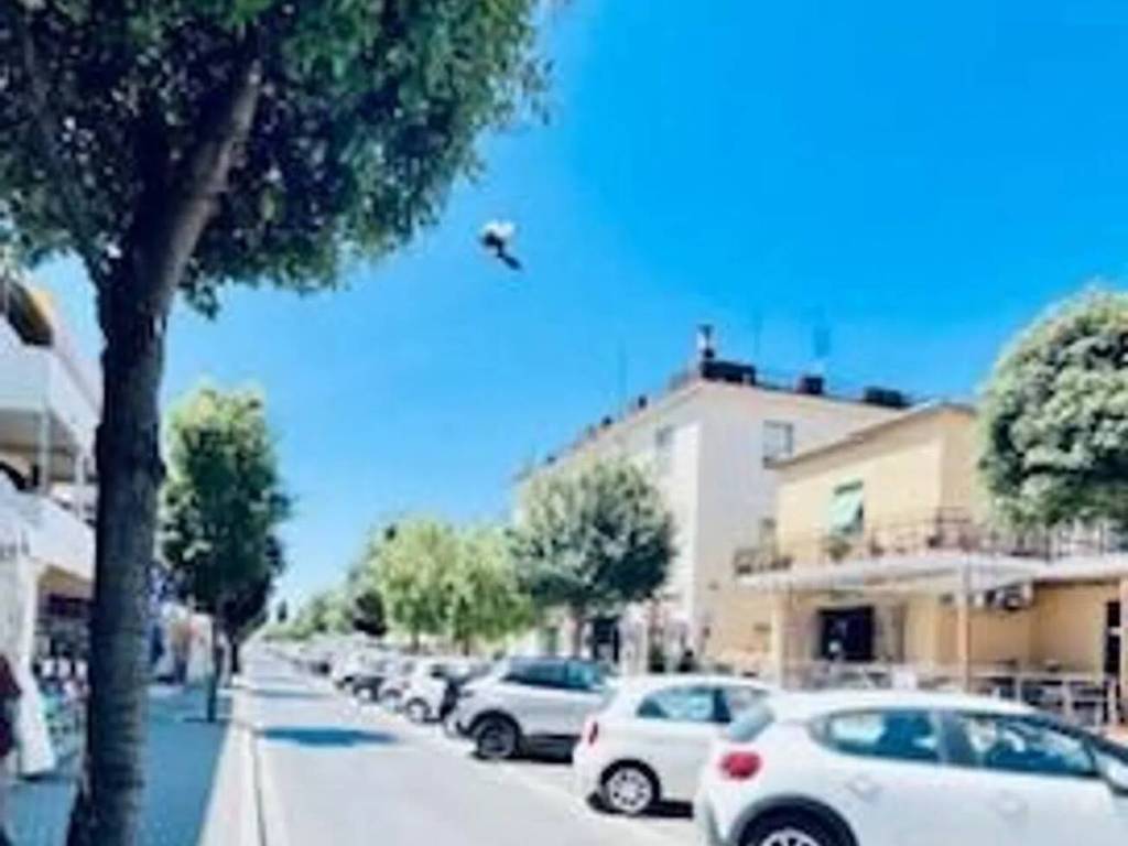 negozio in vendita ad Orbetello in zona Albinia