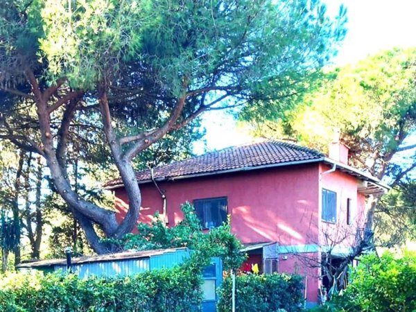 casa indipendente in vendita ad Orbetello in zona Albinia