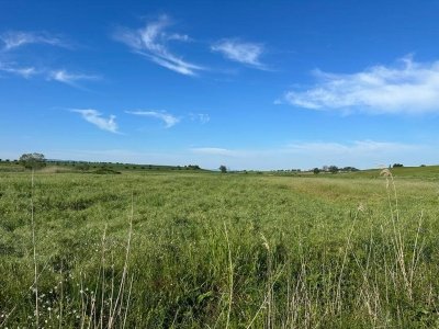appartamento in vendita ad Orbetello