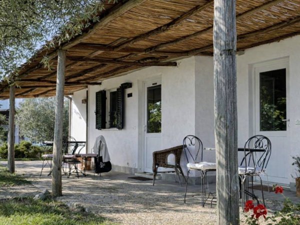 negozio in vendita ad Orbetello