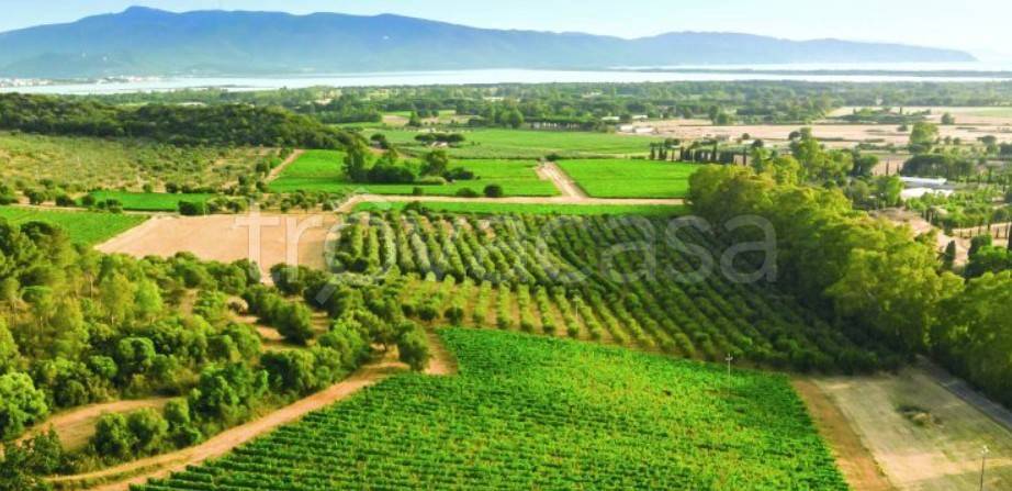 negozio in vendita ad Orbetello