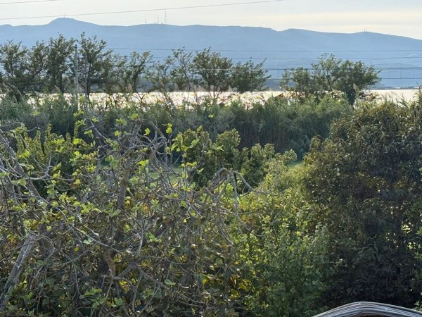 appartamento in vendita ad Orbetello in zona Giannella