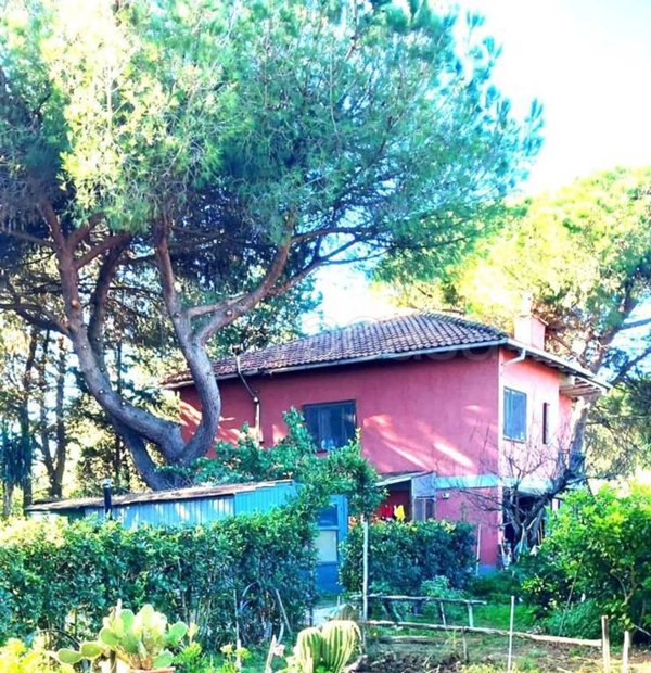 casa indipendente in vendita ad Orbetello in zona Albinia