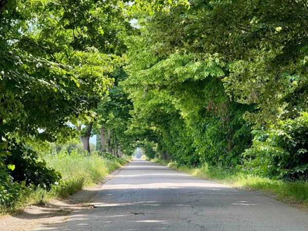 appartamento in vendita ad Orbetello in zona Giannella