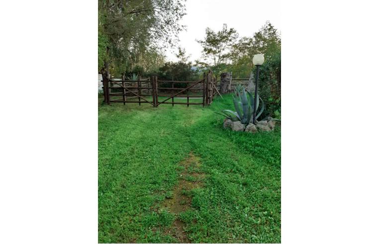 terreno agricolo in vendita ad Orbetello in zona Albinia