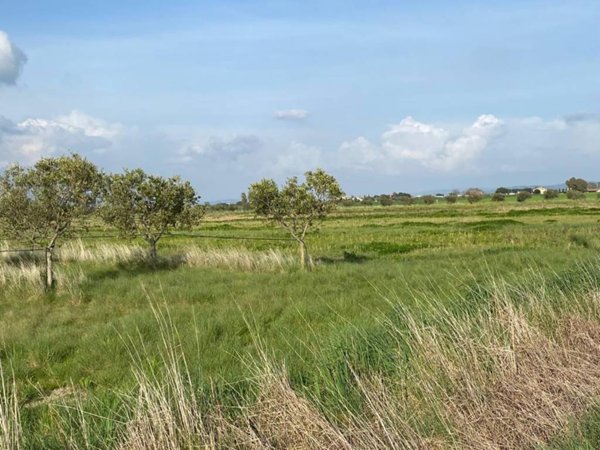 terreno agricolo in vendita ad Orbetello in zona Albinia