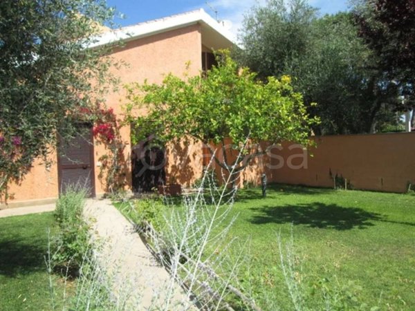 casa indipendente in vendita ad Orbetello in zona Giannella