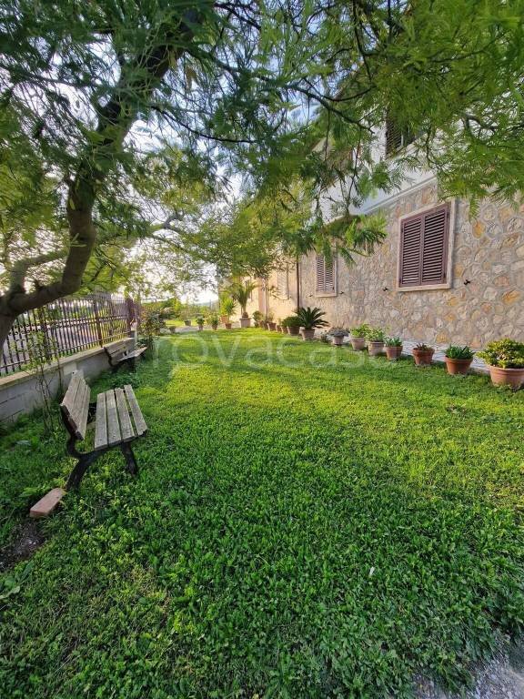 appartamento in vendita ad Orbetello