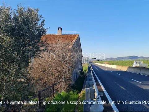 casa indipendente in vendita ad Orbetello in zona Fonteblanda
