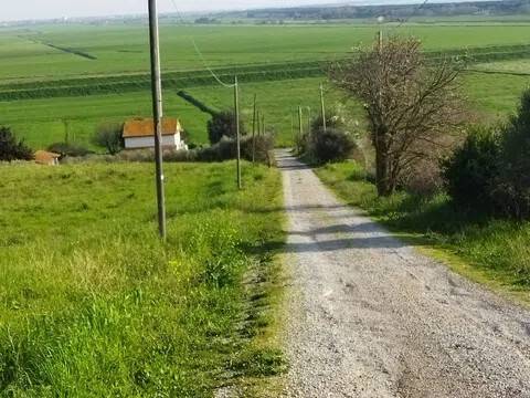 terreno agricolo in vendita ad Orbetello in zona Fonteblanda