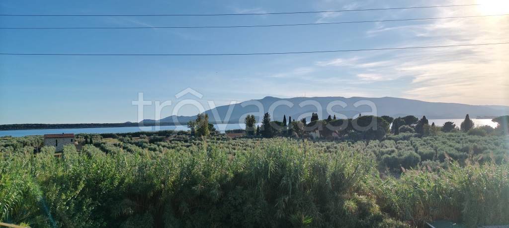 appartamento in vendita ad Orbetello in zona Ansedonia