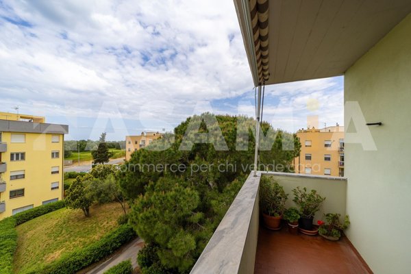 appartamento in vendita ad Orbetello