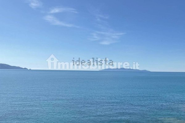 esavano in vendita ad Orbetello in zona Talamone
