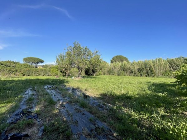 terreno agricolo in vendita ad Orbetello