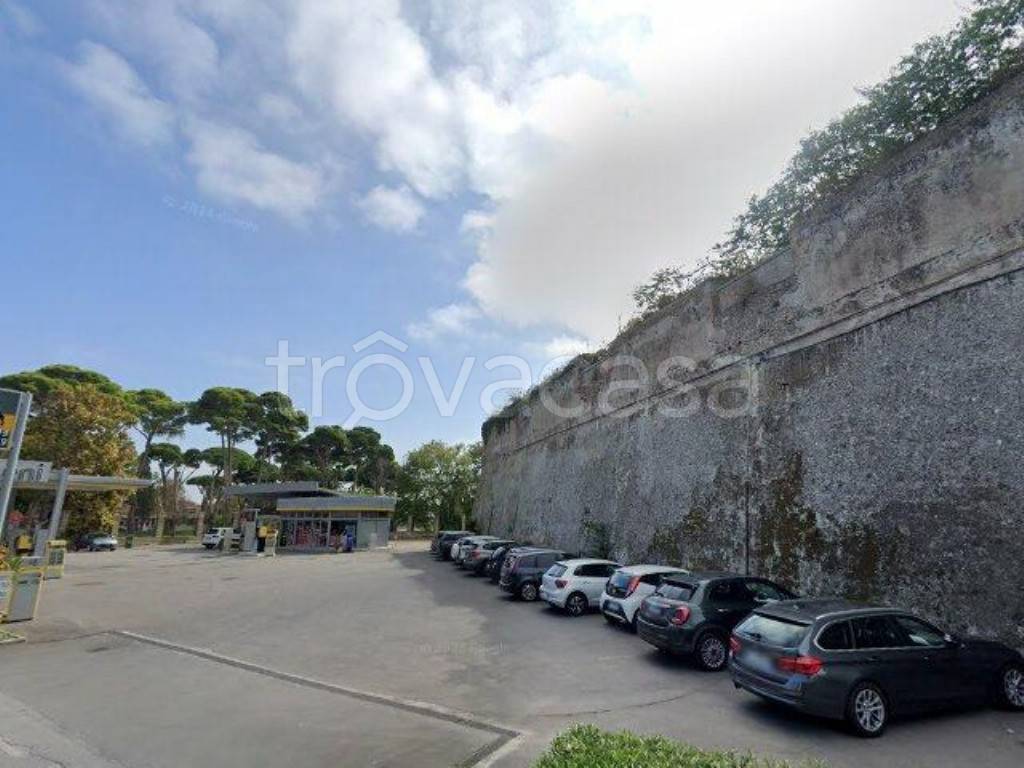 azienda agricola in vendita ad Orbetello