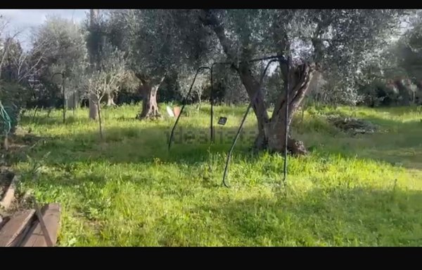 terreno edificabile in vendita ad Orbetello