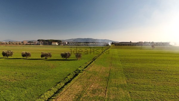 appartamento in vendita ad Orbetello
