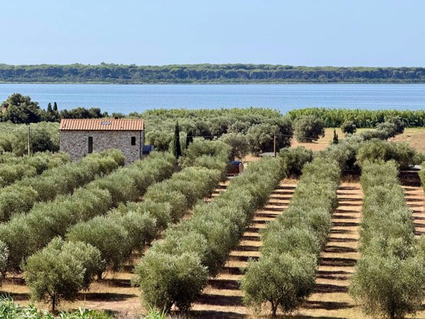 appartamento in vendita ad Orbetello