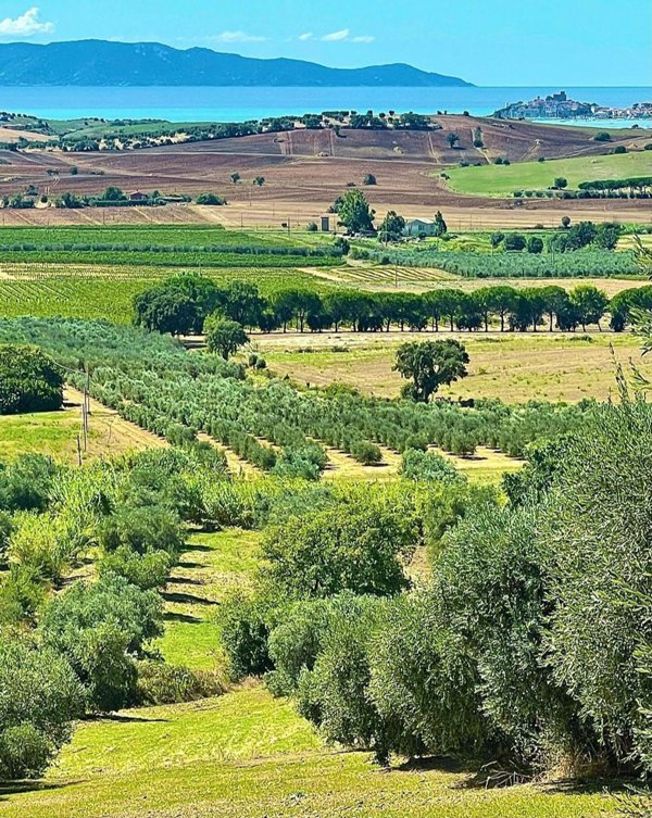 casale in vendita ad Orbetello in zona Talamone
