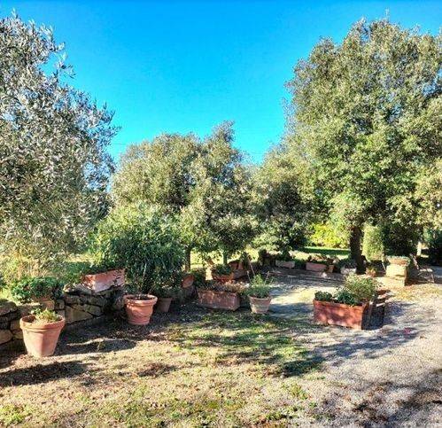 casa indipendente in vendita ad Orbetello in zona Albinia