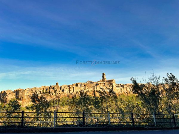 appartamento in vendita a Pitigliano