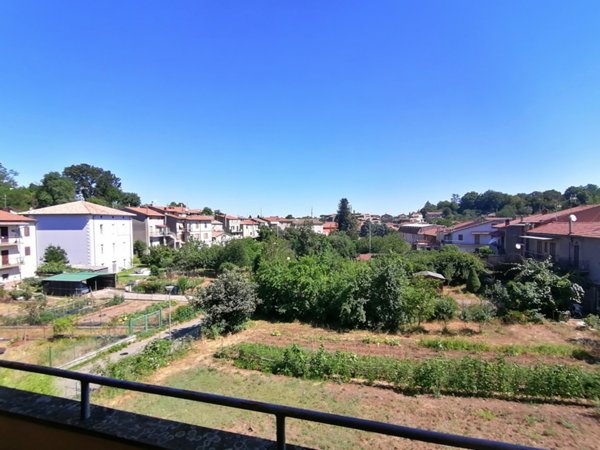 appartamento in vendita a Pitigliano