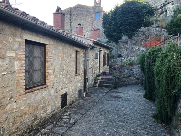 appartamento in vendita a Pitigliano