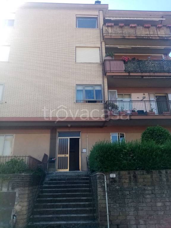 appartamento in vendita a Pitigliano