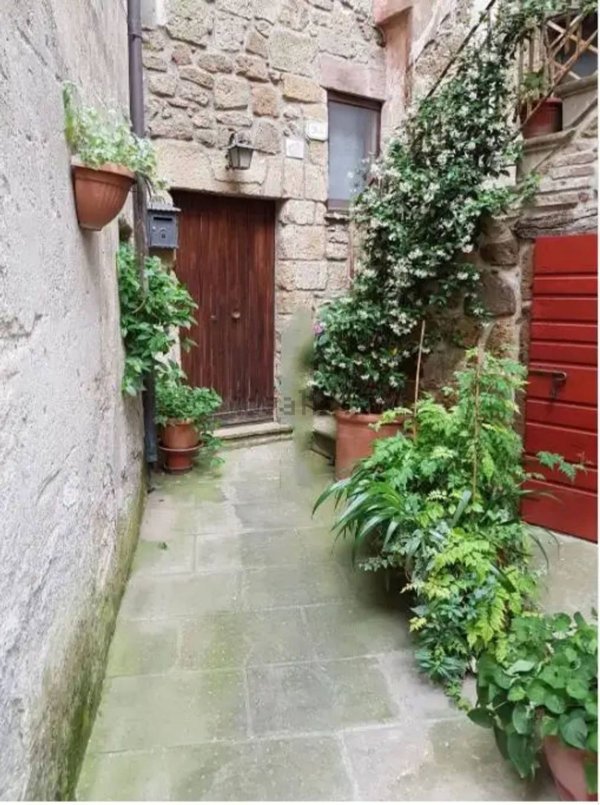 appartamento in vendita a Pitigliano