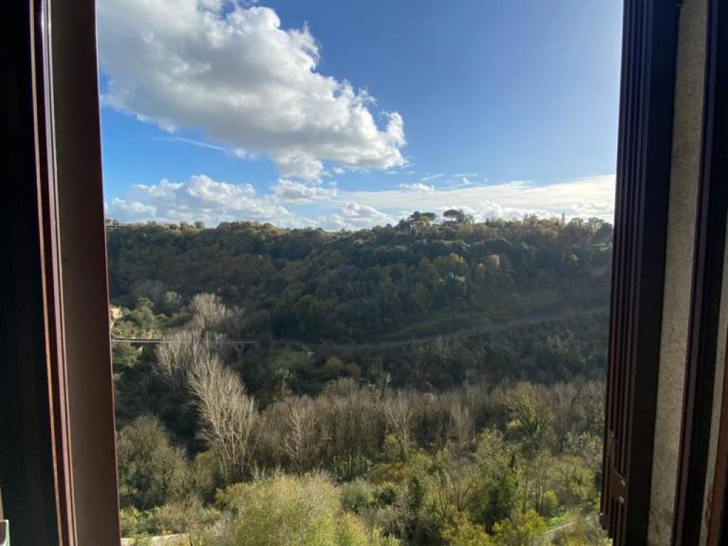 appartamento in vendita a Pitigliano