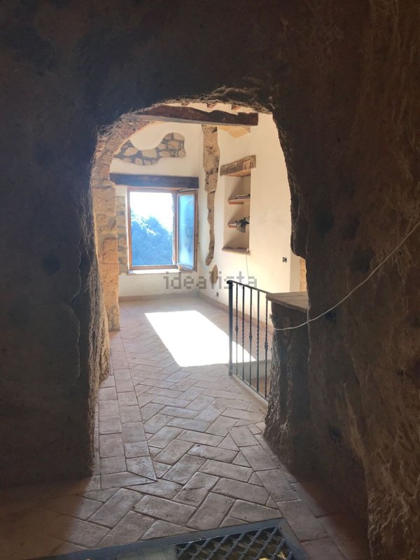 appartamento in vendita a Pitigliano