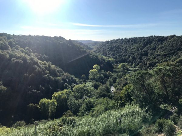 appartamento in vendita a Pitigliano