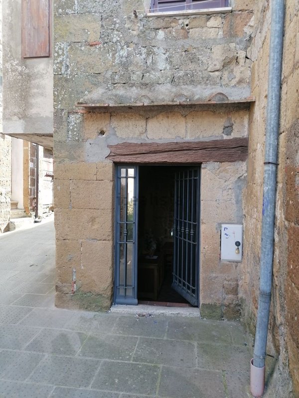 appartamento in vendita a Pitigliano