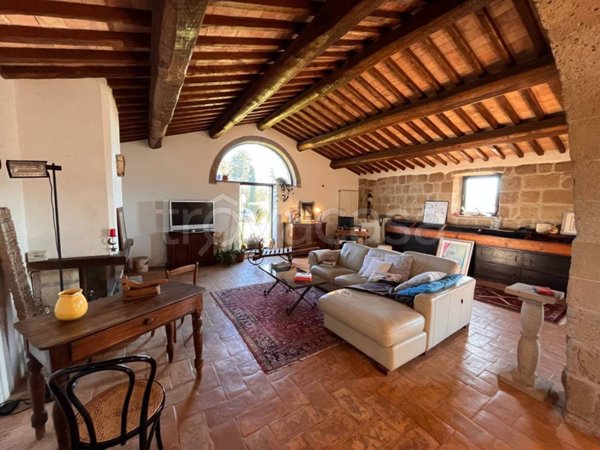 casa indipendente in vendita a Pitigliano