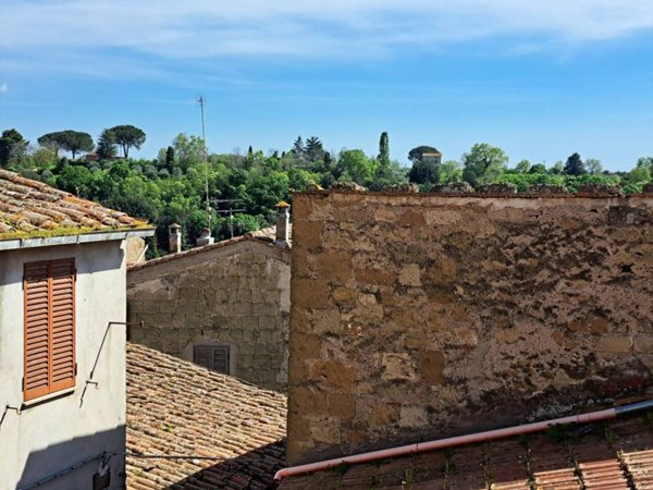 casa indipendente in vendita a Pitigliano