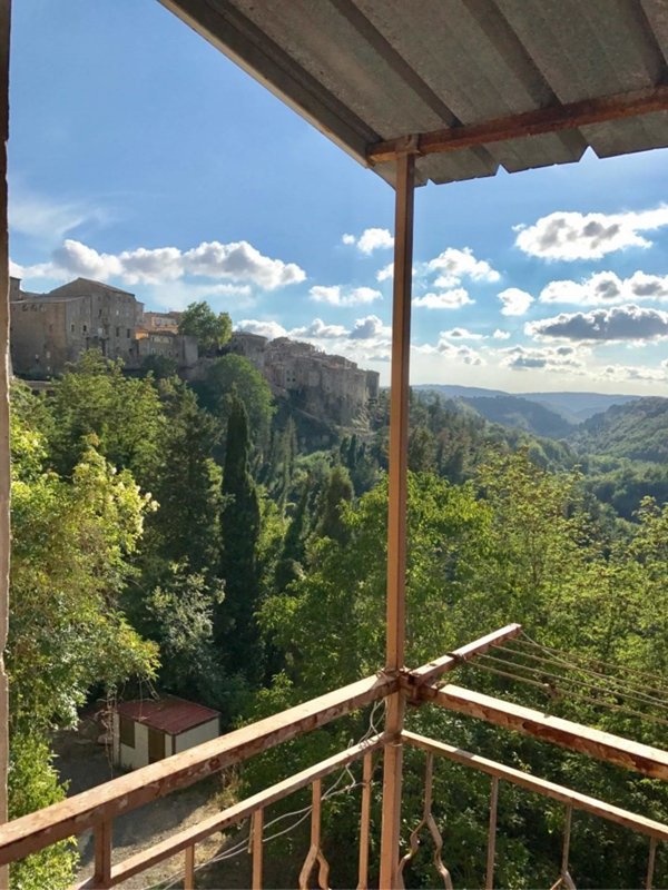 appartamento in vendita a Pitigliano